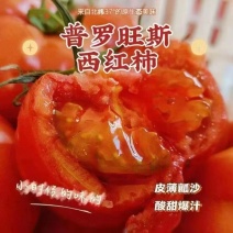 沙瓤口感普罗旺斯西红柿番茄露天产地直供一件代发蔬果