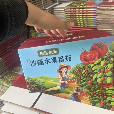 普罗旺斯西红柿口感一件代发番茄好吃爆汁沙瓤团购露天批发
