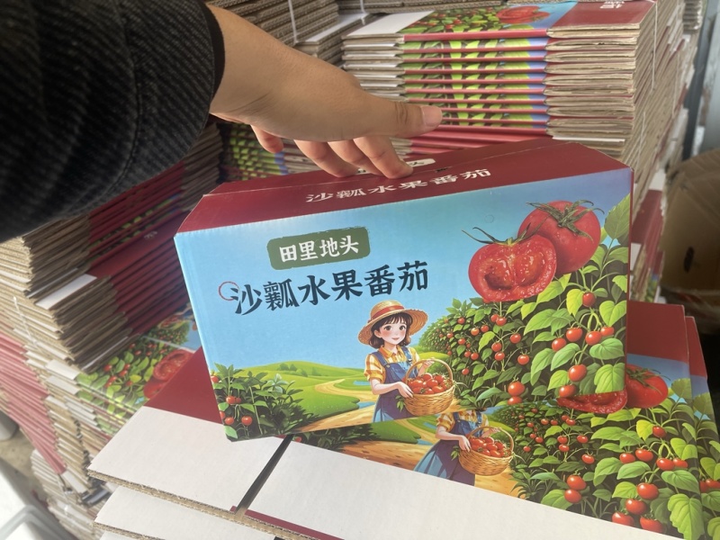 普罗旺斯西红柿口感一件代发番茄好吃爆汁沙瓤团购露天批发