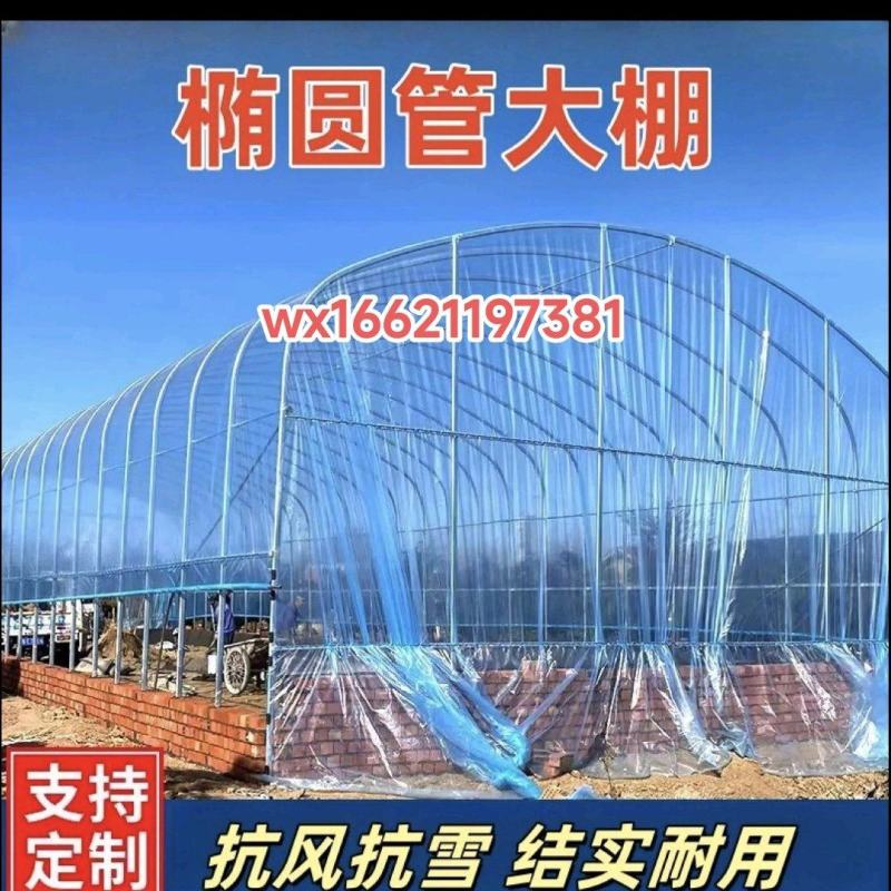 全套大棚骨架钢管蔬菜种菜保温种植温室家用西瓜草莓椭圆管棚定制