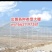 连体大棚薄膜温室联栋大棚单体连体无土栽培养殖
