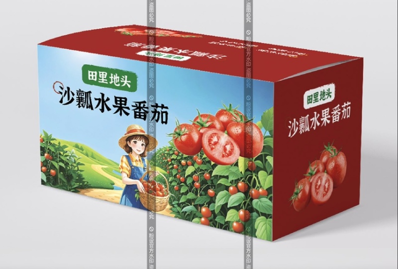 普罗旺斯西红柿口感一件代发番茄好吃爆汁沙瓤团购露天批发