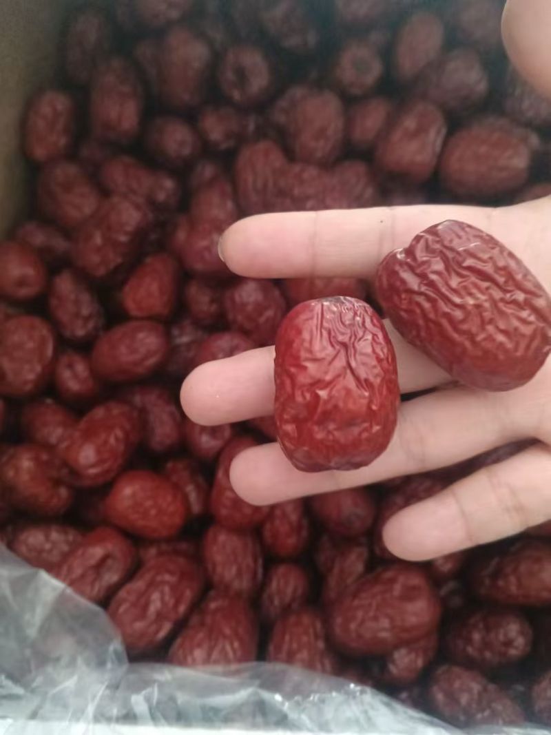 新疆红枣