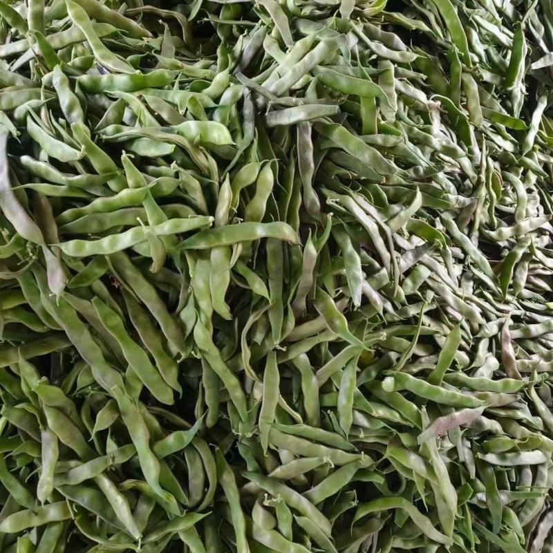 油豆角紫花油豆万亩基地产地直销保质保量