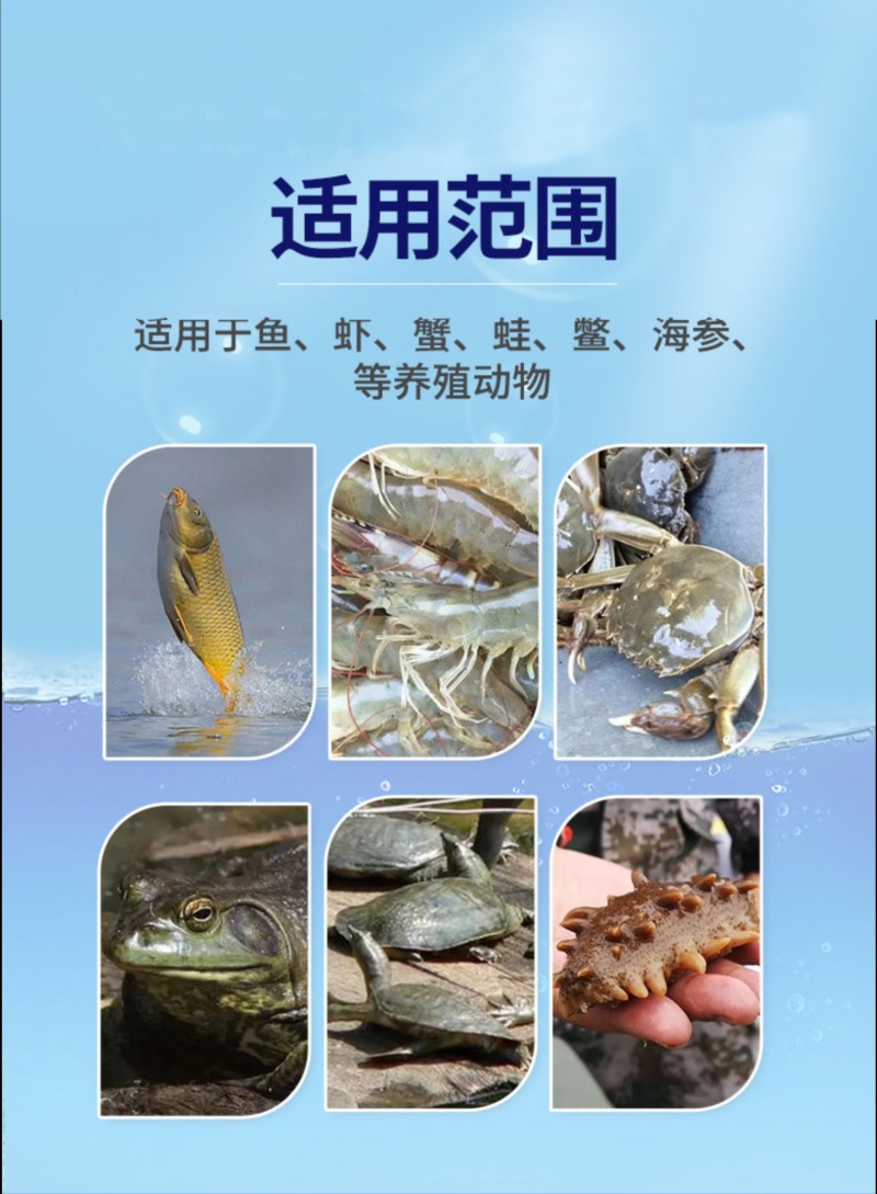 快吃猛长鱼虾蟹塘饲料添加剂水产专用诱食促生长厂家