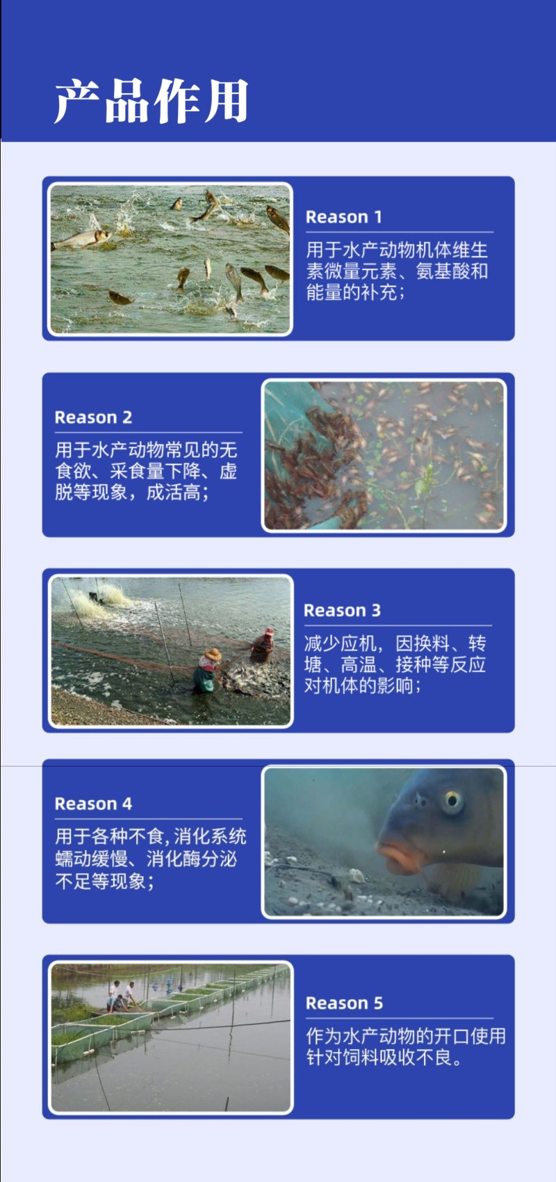 快吃猛长鱼虾蟹塘饲料添加剂水产专用诱食促生长厂家