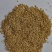 切粒燕麦米