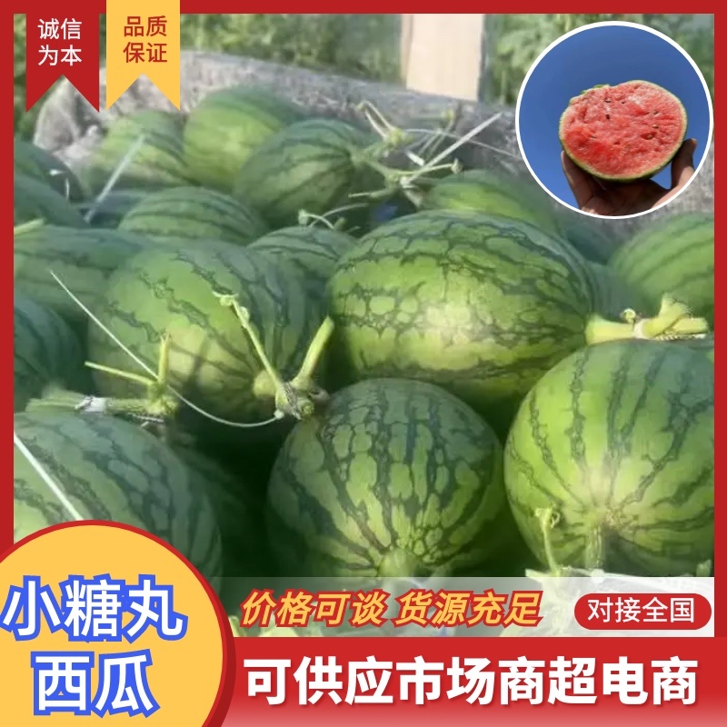 全美2K西瓜，量大货优，供应电商，商超各个平台