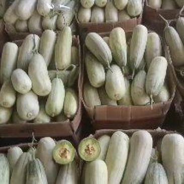甜瓜承接电商商超批发市场各大平台产地直发