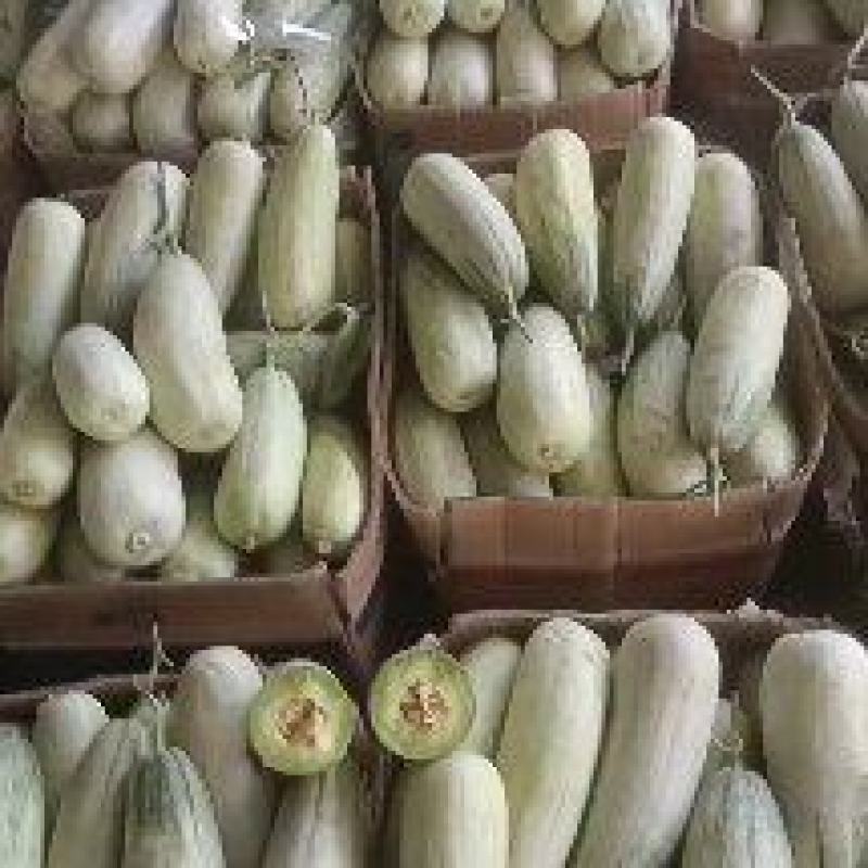 甜瓜承接电商商超批发市场各大平台产地直发