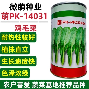 微萌PK14031耐热青梗菜鸡毛菜种子小白菜种子油菜青菜