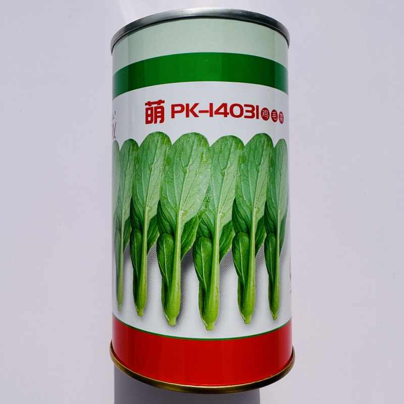 微萌PK14031耐热青梗菜鸡毛菜种子小白菜种子油菜青菜