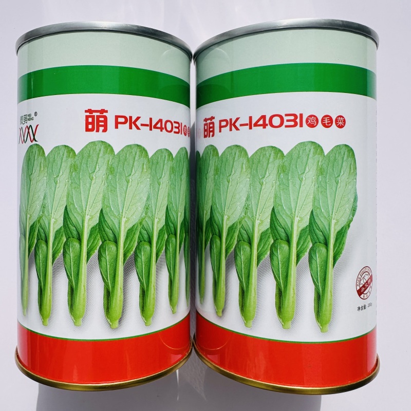 微萌PK14031耐热青梗菜鸡毛菜种子小白菜种子油菜青菜