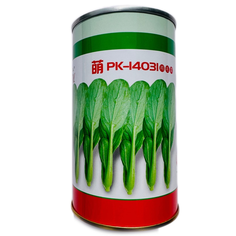 微萌PK14031耐热青梗菜鸡毛菜种子小白菜种子油菜青菜