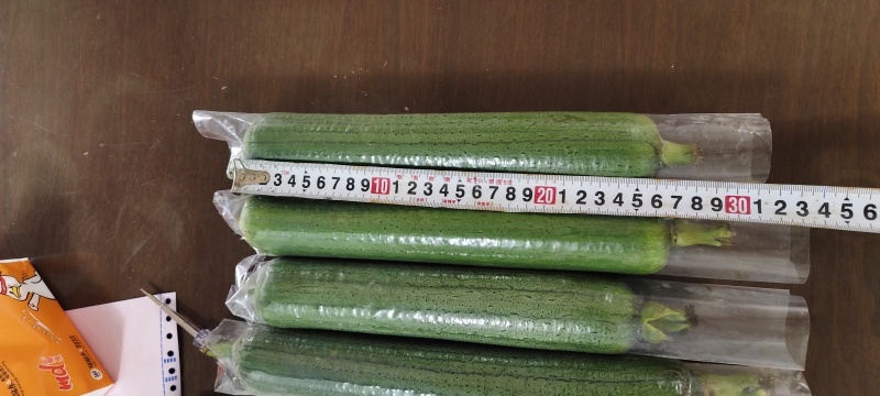 油皮丝瓜，水瓜，丝瓜，产地直供，量大从优
