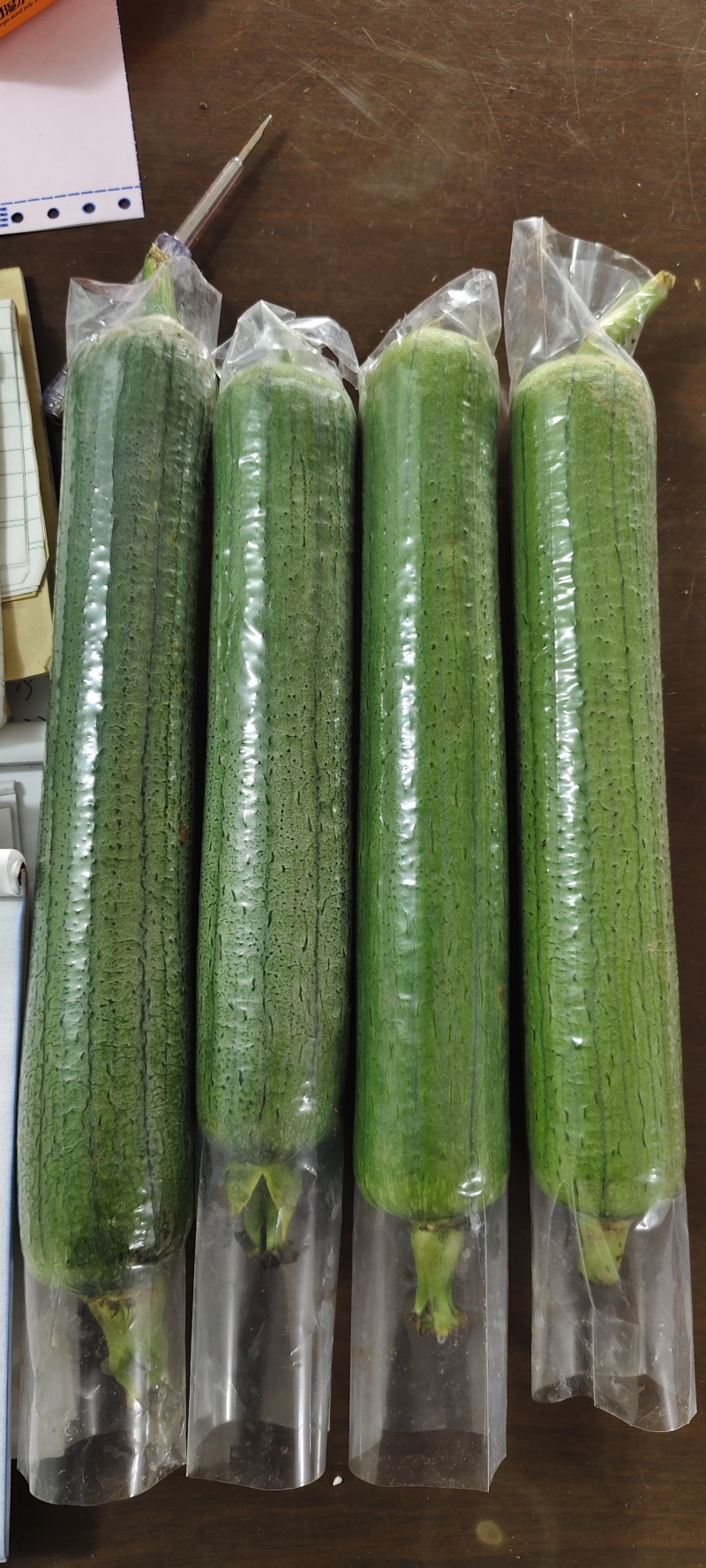 油皮丝瓜，水瓜，丝瓜，产地直供，量大从优