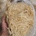 云南普洱韭菜根撇菜根
