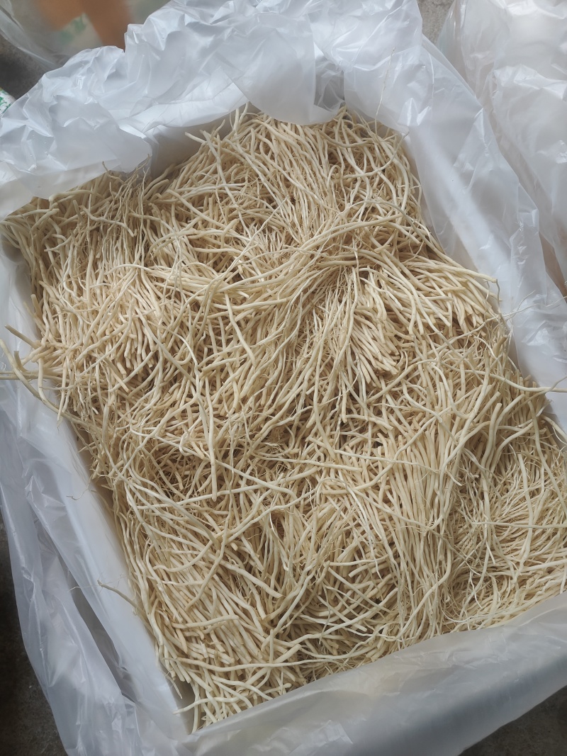 云南普洱韭菜根撇菜根