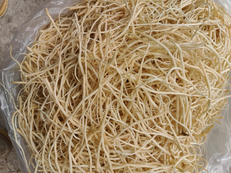 云南普洱韭菜根撇菜根