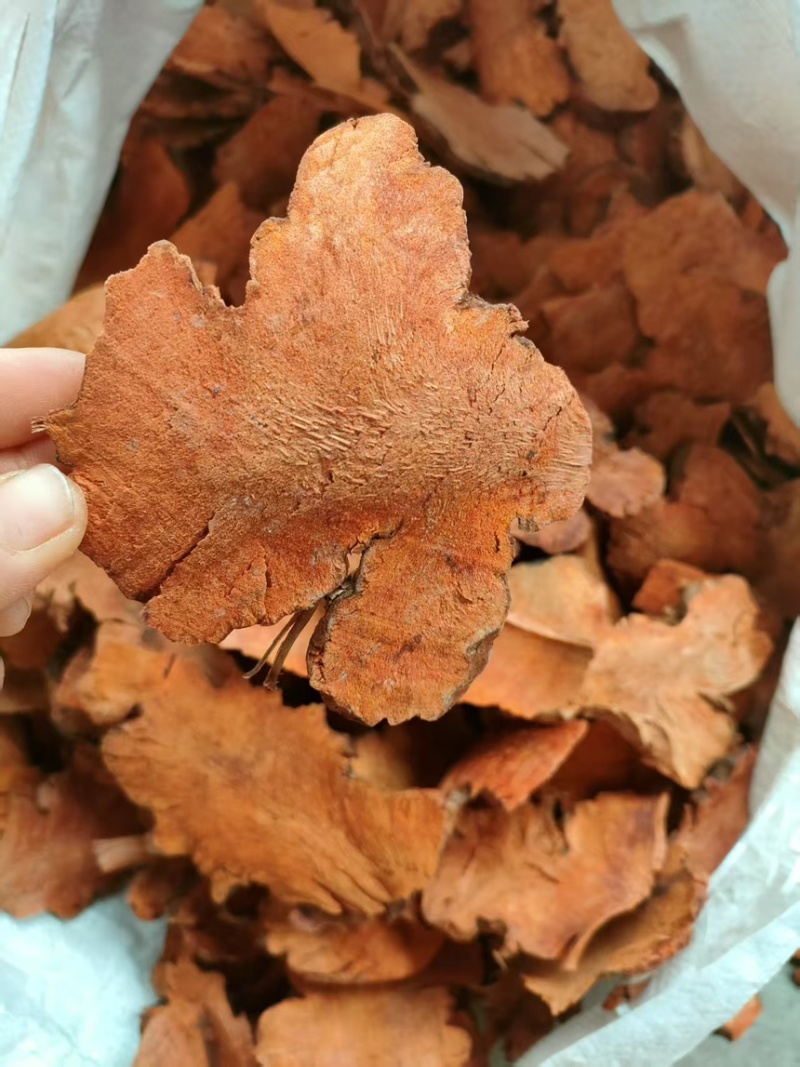 深山土茯苓，量大优惠产地一手货源支持视频看货