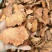 深山土茯苓，量大优惠产地一手货源支持视频看货