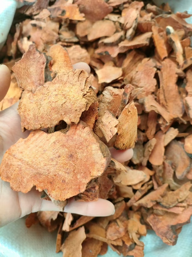 深山土茯苓，量大优惠产地一手货源支持视频看货