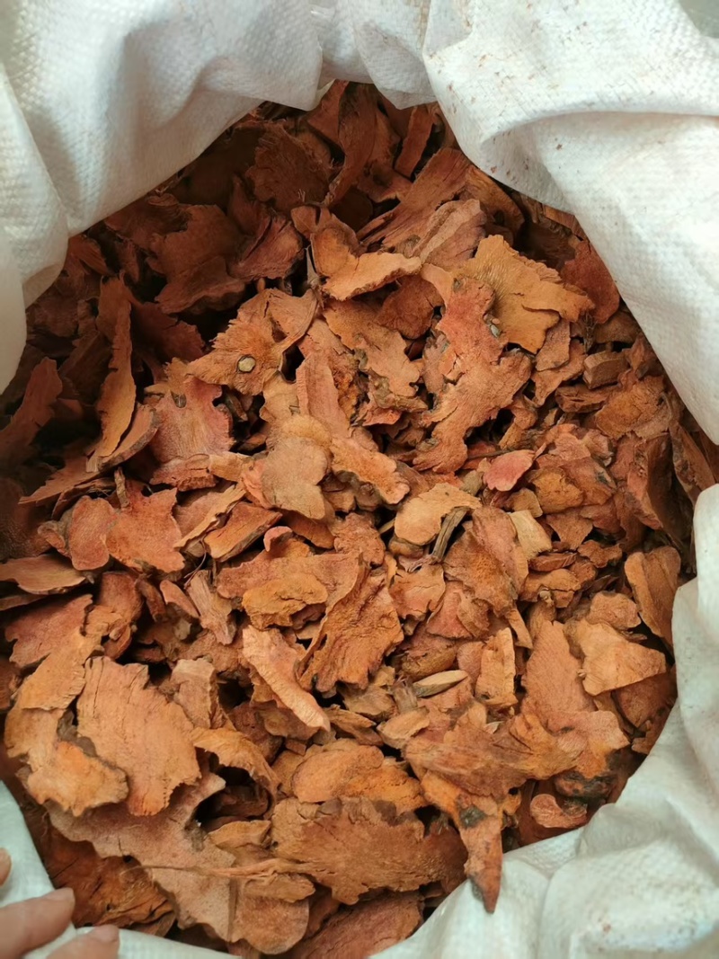 深山土茯苓，量大优惠产地一手货源支持视频看货