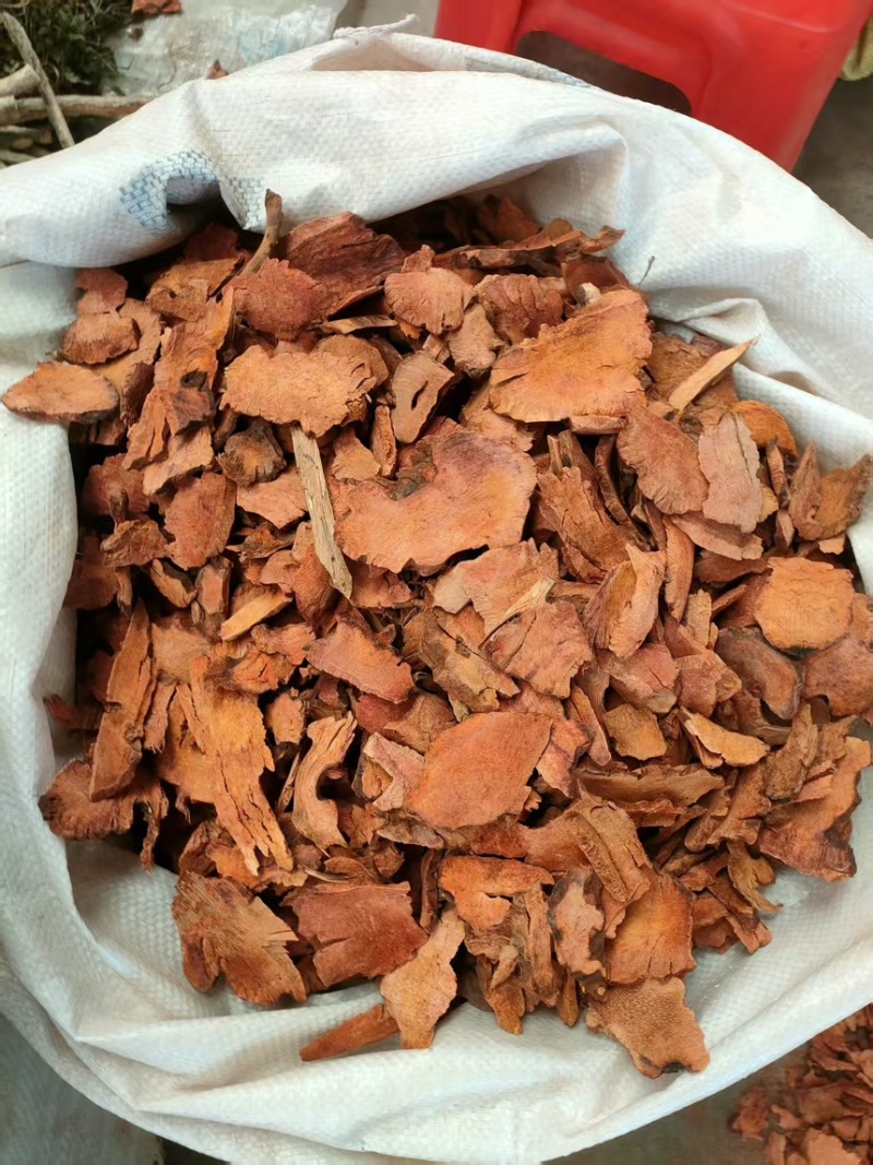 深山土茯苓，量大优惠产地一手货源支持视频看货