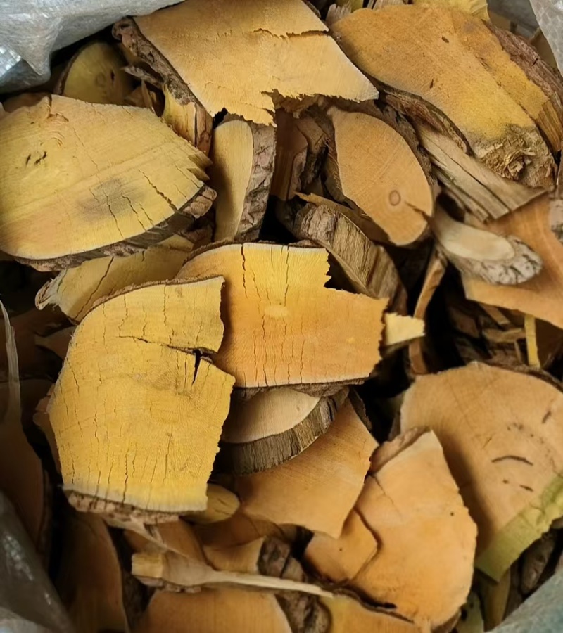 马关县中药材野生十大功劳量大优惠，产地一手货源