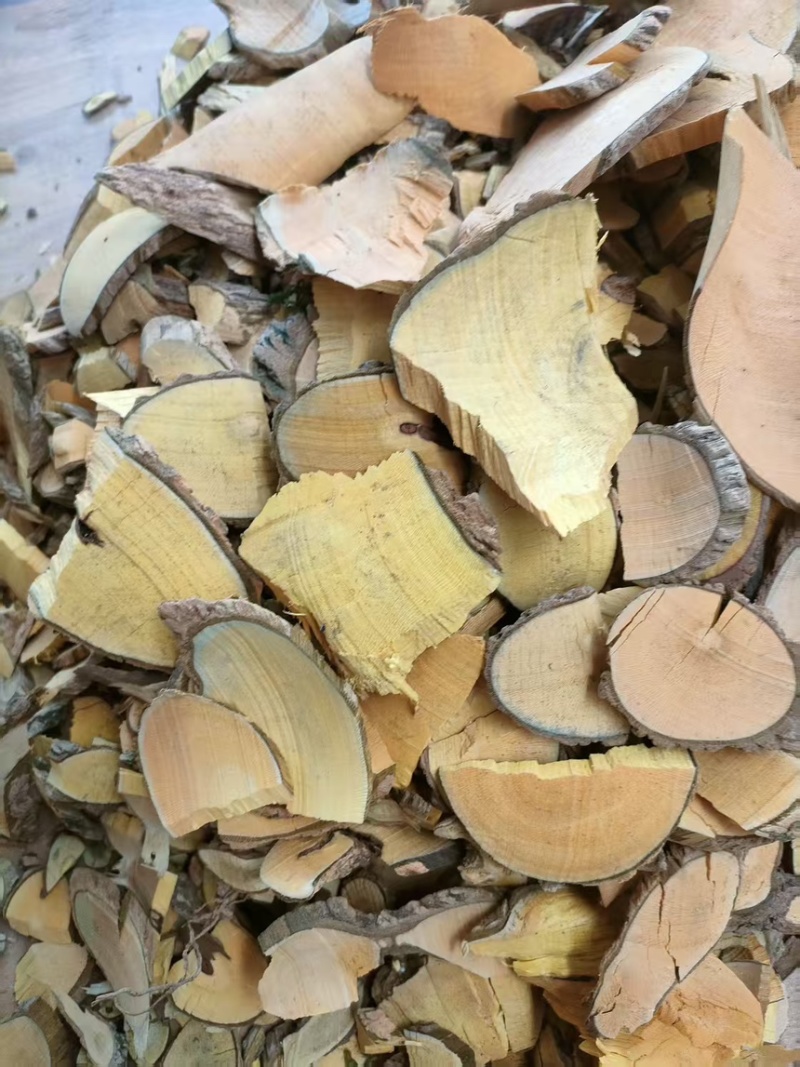 马关县中药材野生十大功劳量大优惠，产地一手货源