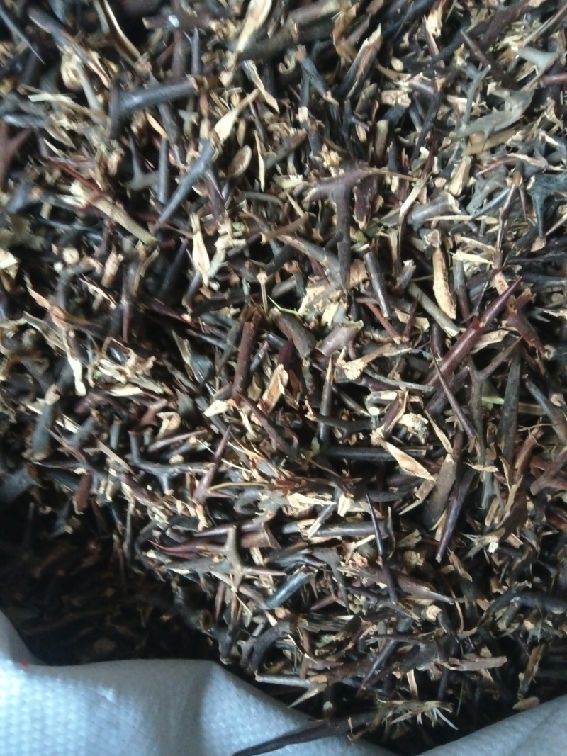 天然野生大皂角刺个子，皂角刺机器段药厂货
