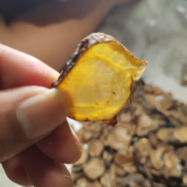 香附