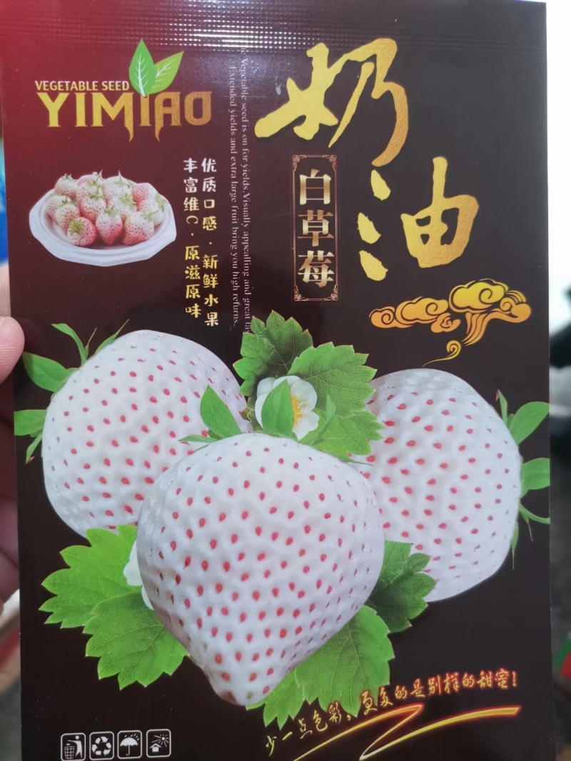 草莓种子一袋200粒一代原装种子大送种植技术