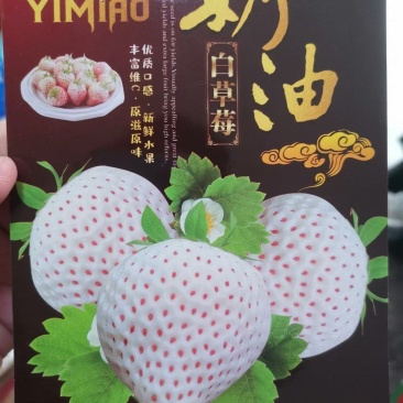 草莓种子一袋200粒一代原装种子大送种植技术