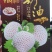 草莓种子一袋200粒一代原装种子大送种植技术