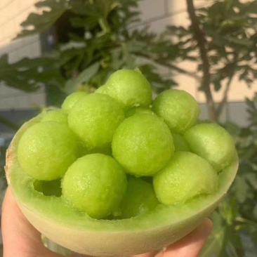 玉菇甜瓜承接一件代发商超电商批发市场水果店直播社区团购