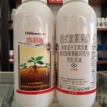 青岛~瀚生潜刹通5%顺式氯氰菊脂~棉花盲蝽象正品农药杀虫