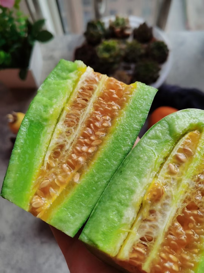 博洋九号头茬精品口感脆甜按需求提供纸箱礼品盒泡沫箱等包装