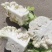 【精品子叶花】陕西洋县白花菜花松花菜实力代办一条龙服务