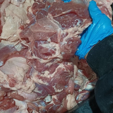 鲜羊肉，冻羊肉厂家直销量大质优价格优惠一手货源