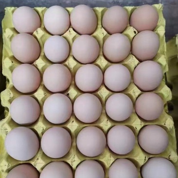 土鸡蛋