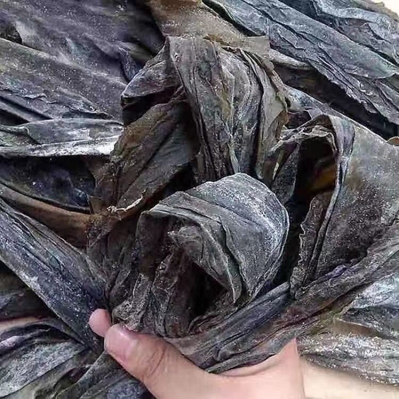 新货干海带干货海带日晒厚实商用凉拌煲汤干货