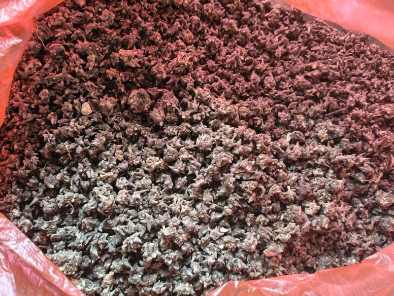 猫爪草干货