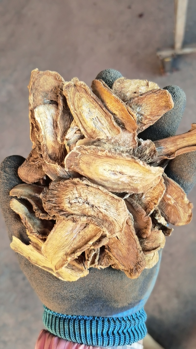 牛蒡茶，牛蒡根，产地一手货源