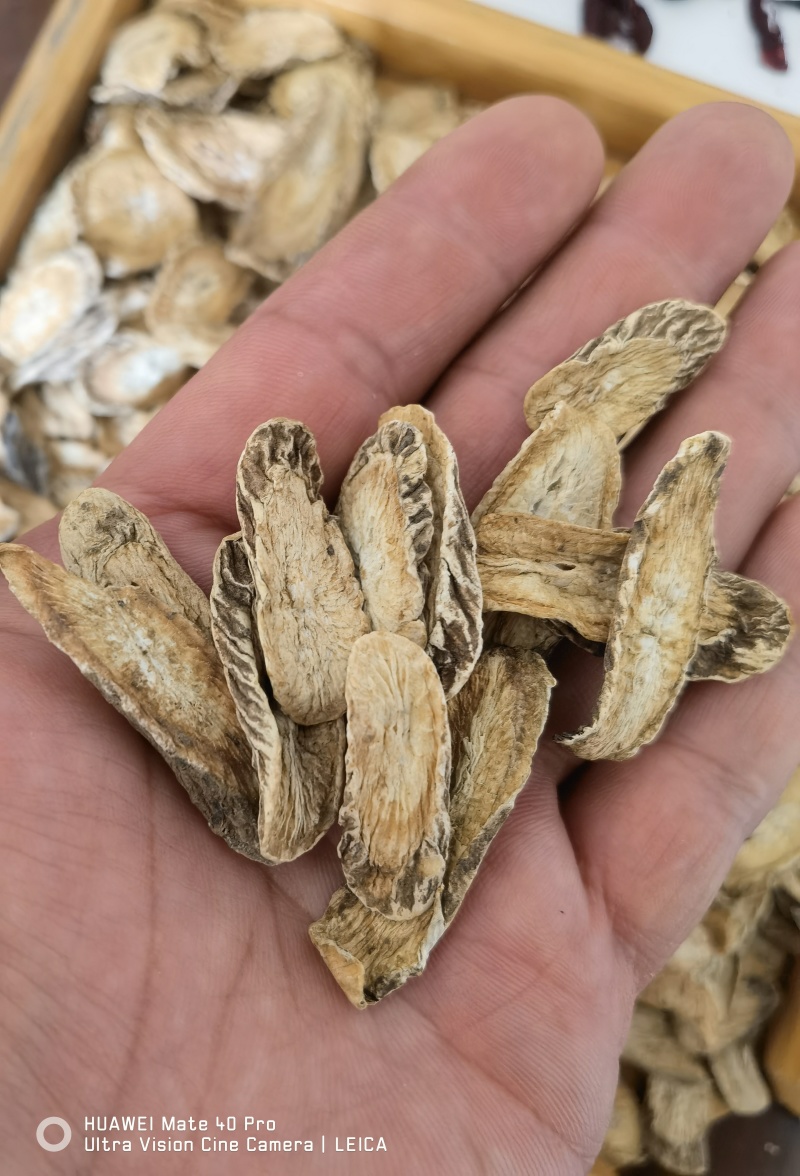 牛蒡茶，牛蒡根，产地一手货源