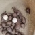 本人三叶青已种植三年，欢迎各位新老客户光临。