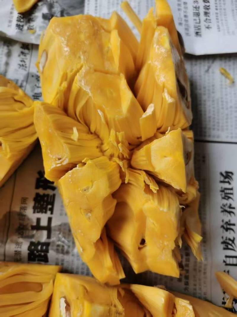 黄肉菠萝蜜