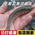 草鱼苗