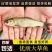 草鱼苗