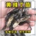 【精选】优质黄骨鱼苗，渔场直发，保存活技术指导